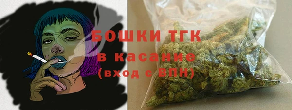 ешки Алексин
