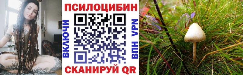 Псилоцибиновые грибы Psilocybine cubensis  Липки 